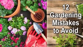 Gardening Tips: Common Gardening Mistakes to Avoid