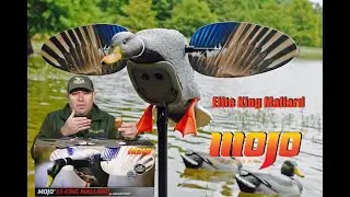 MOJO Elite King Mallard обзор чучела