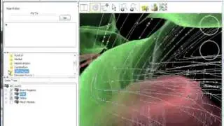 Neuron Simulation Visualization Tutorial in Whole Brain Catalog