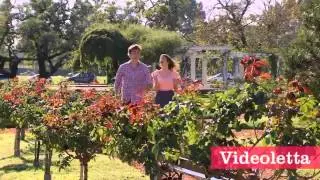 Violetta 2 English - Violetta and Leon sining 