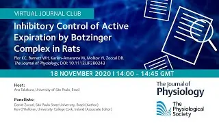 Inhibitory Control of Active Expiration by Botzinger Complex in Rats