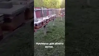 Нуклеусный парк