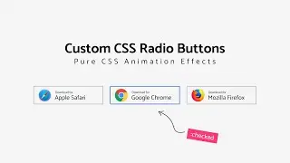 How To Create Custom Radio Buttons With Cool Animation Effects | Pure CSS Radio Buttons