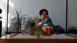 Мастер - класс для детей 