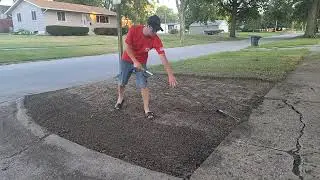 How To Seed a Lawn- complete process!