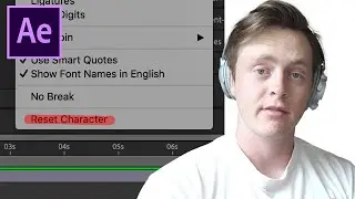 Text not appearing in After Effects June 2024 (Reset Character)