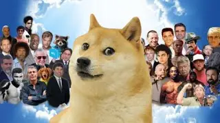 goodbye Doge Dog Kabosu