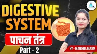 Digestive System part -2 | पाचन तंत्र | Anatomy & Physiology by Manisha Ma'am