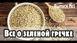 Зеленая гречка - польза и вред, энергетическая ценность, совместимость с другими продуктами