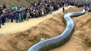 Most Unbelievable Moments Ever Caught On Camera !