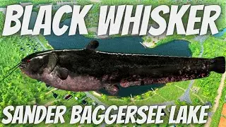 Fishing Planet - Black Whisker Monster - How To Catch Sander Baggersee Lake Monster.