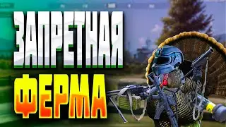 🔴LIVE .  ФЕРМА ЗАПРЕТКА | СТРИМ- ARENA BREAKOUT