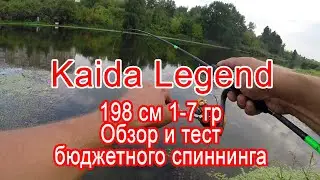 Kaida Legend обзор и тест бюджетного спиннинга 198 cм, 1-7 гр. Ультралайт спиннинг, Уводь, Иваново.