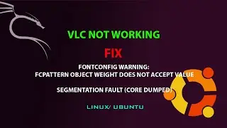 LINUX FIX; Fontconfig warning: FcPattern object weight does not accept value