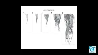 Drawing Straight Hair