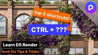 D5 Render: 5 Tips to Save You Hours of Work!