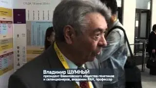 Генетики спорят о пользе и вреде продуктов с ГМО