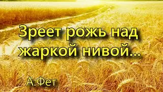 Фет А. А. «Зреет рожь над жаркой нивой...», стихотворение