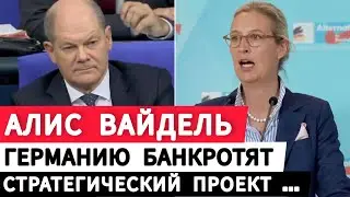 Алис Вайдель. Германию банкротят. Стратегический проект… Предприятия меняют…