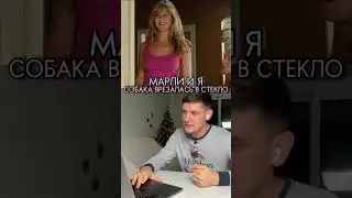 Вы смотрели мои разборы фильмов с собаками на твиче?) Какой фильм разобрать?)