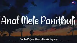 𝗔𝗻𝗮𝗹 𝗠𝗲𝗹𝗲 𝗣𝗮𝗻𝗶𝘁𝗵𝘂𝗹𝗶 (Lofi) - Sudha Ragunathan | Harris Jayaraj |Vaaranam Aayiram /\#AnalMele#Remix