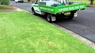 [How To Kill Winter Grass In Lawn] [Wintergrass Control] [How To Kill Winter Grass]