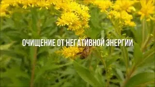 Очищение  От Негативной Энергии