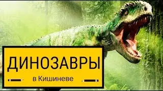 10 фактов о динозаврах, о которых вы не знали