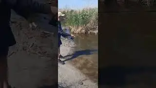 вайбер для замовлення 068 461 46 55