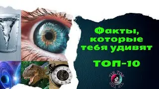 Интересные факты. TOП -10 / Полная правда /Факты из ТИК ТОК