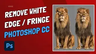 How To Remove White Edge and White Fringe - Photoshop CC 2022