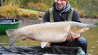 AE Fisheries Forest view 2019