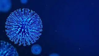 influenza COVID-19 or coronavirus 2019 Corona virus 2019 Loop Animation