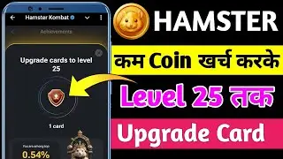 Upgrade Card To Level 25 For Special Achievement | Hamster Kombat Cheapest Card Level 25 For Special