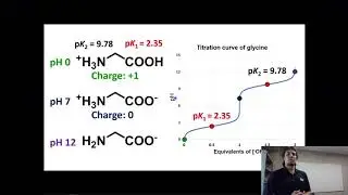 Topic 2.11 - Isoelectric point default