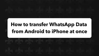 How to transfer WhatsApp Data from Android to iPhone at once