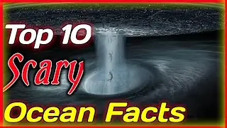 These Ocean Facts Will Shock You! #adventure #dangerous #information