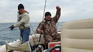 Рыбалка в Анапе на море цены тел 89897688574
