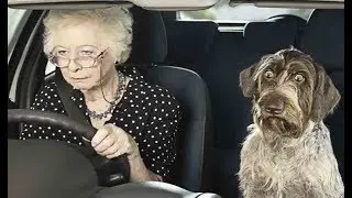 Как ездить без сцепления