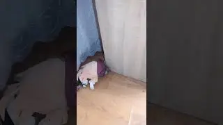 Мама 