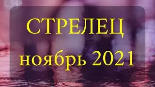 СТРЕЛЕЦ Ноябрь 2021 года Таро прогноз