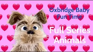 Oxbridge Baby Fun Time - Full Series - All Animals