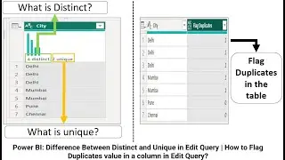 Power BI: Difference BTW Distinct & Unique | Flag Duplicates value in a column in Edit Query