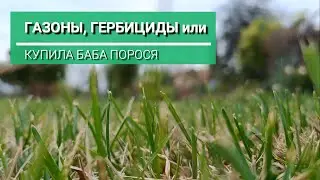 Газоны, гербициды или "Не было у бабы хлопот, купила баба порося..."