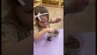 Монтессори урок. Пересыпание ложкой