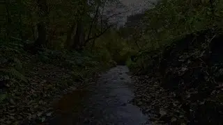 Pleasant sound of a stream at night to calm nerves, relax and sleep. Fall asleep quickly. Relaxation