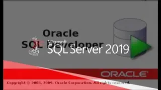 Connect to SQL Server Database 2019 using Oracle SQL Developer on Ubuntu 22.04