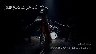 JURASSIC JADE / A Small World ～ 暗い部屋の黒い猫 (Black cats in the dark room) - Music Video