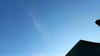 #Pigeons. Лучшее  лекарство для голубей - это свобода и небо !!!