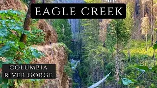 Eagle Creek Trail // Our favorite adventure in the Gorge